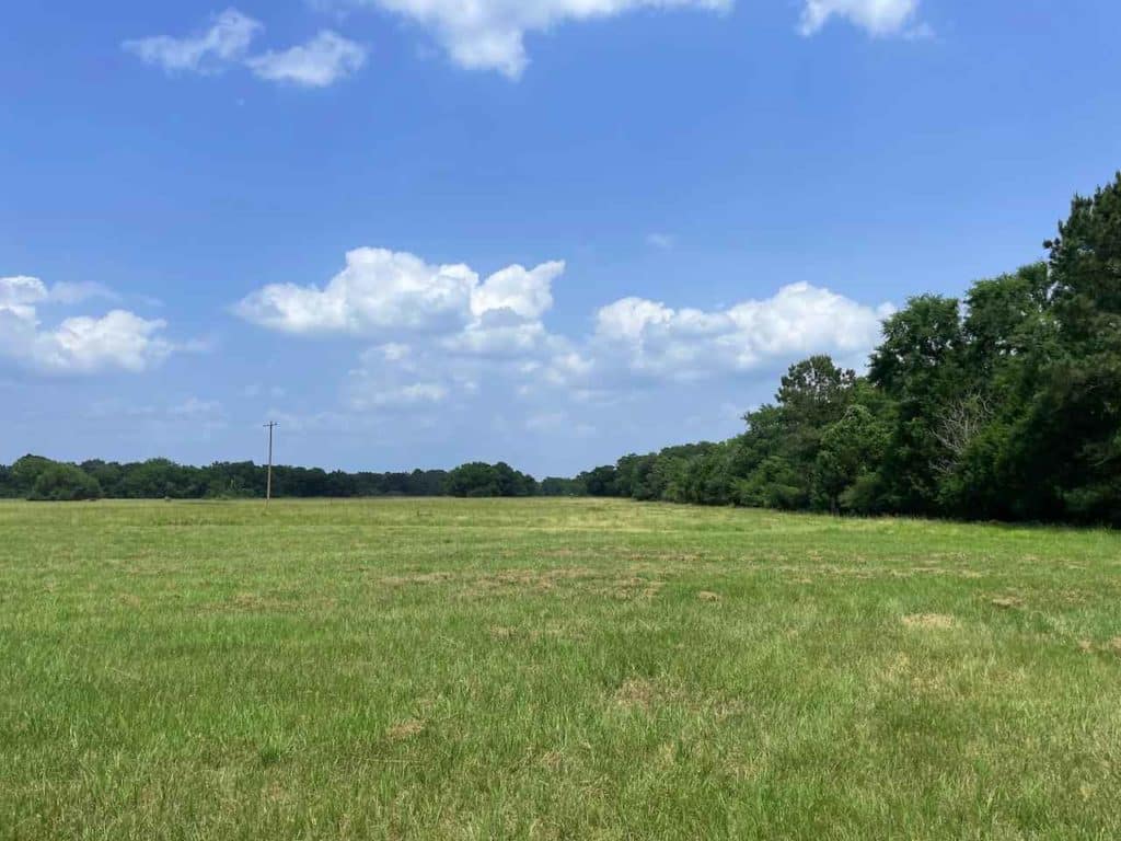 Tract 9: 29918 FM 362, Waller, TX 77484 - Signature Ranches Realty